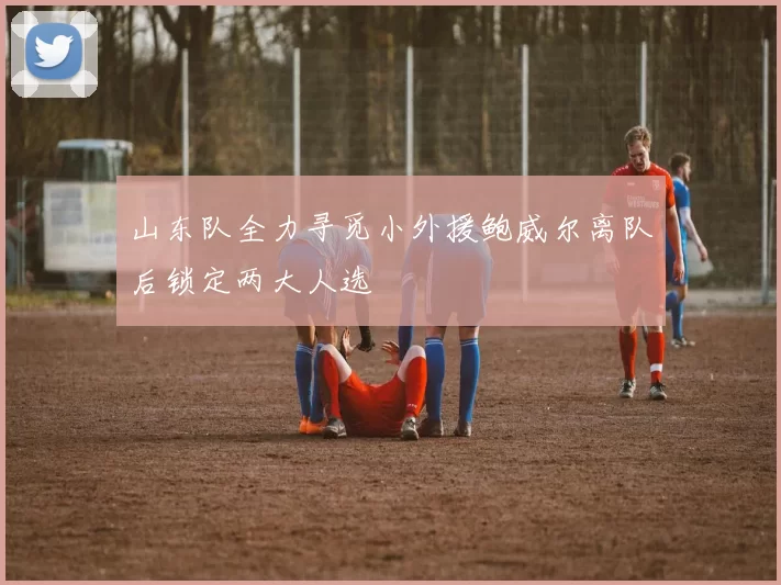 山东队全力寻觅小外援鲍威尔离队后锁定两大人选