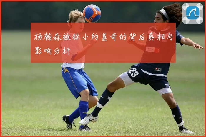 杨瀚森被称小约基奇的背后真相与影响分析
