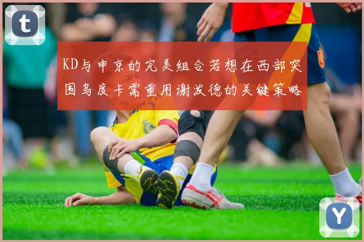 KD与申京的完美组合若想在西部突围乌度卡需重用谢泼德的关键策略